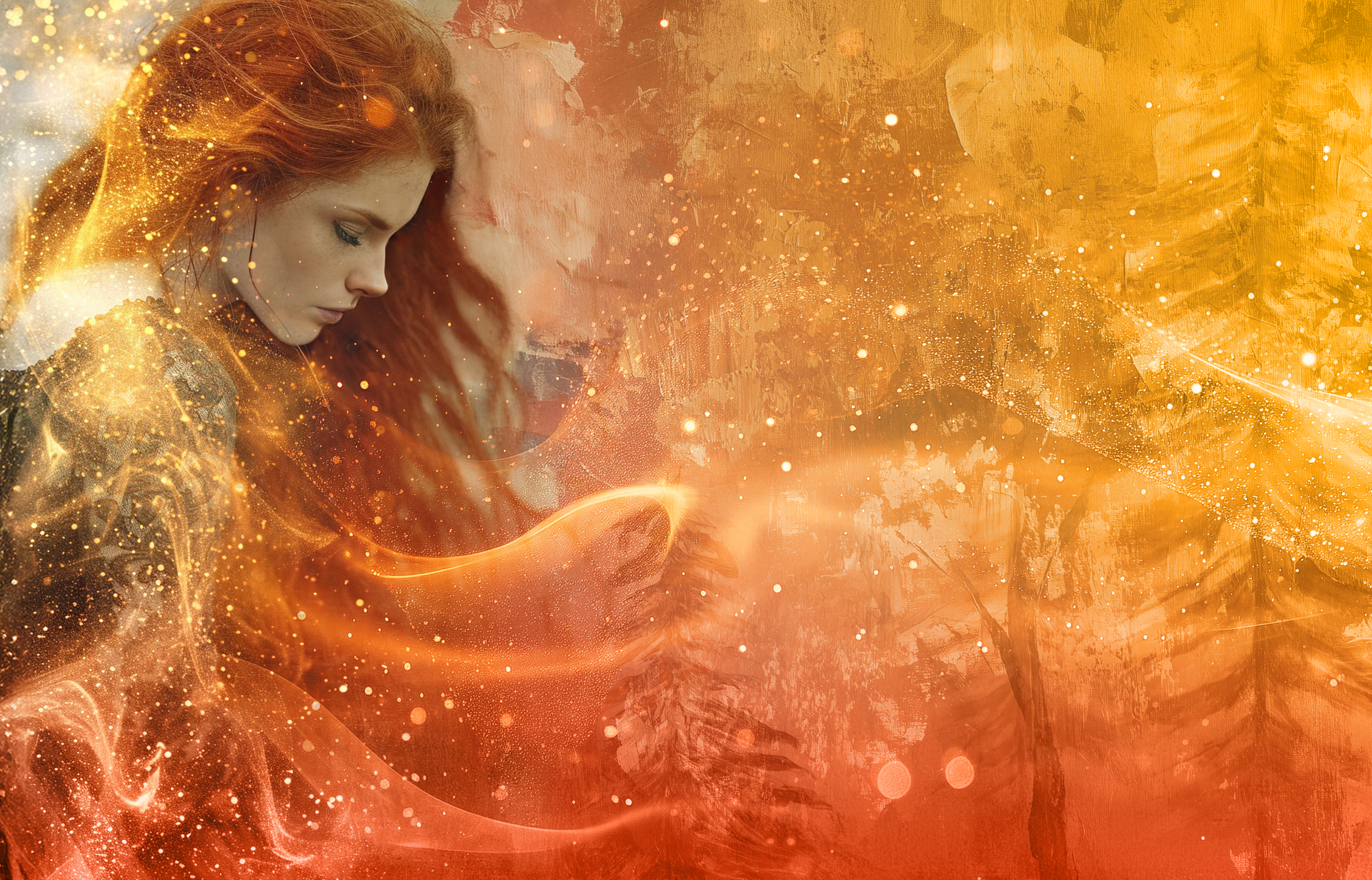 Description of Image 282